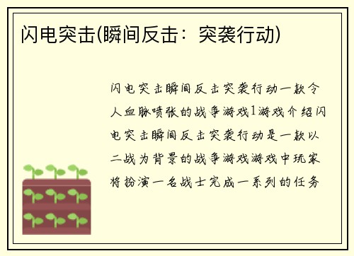 闪电突击(瞬间反击：突袭行动)